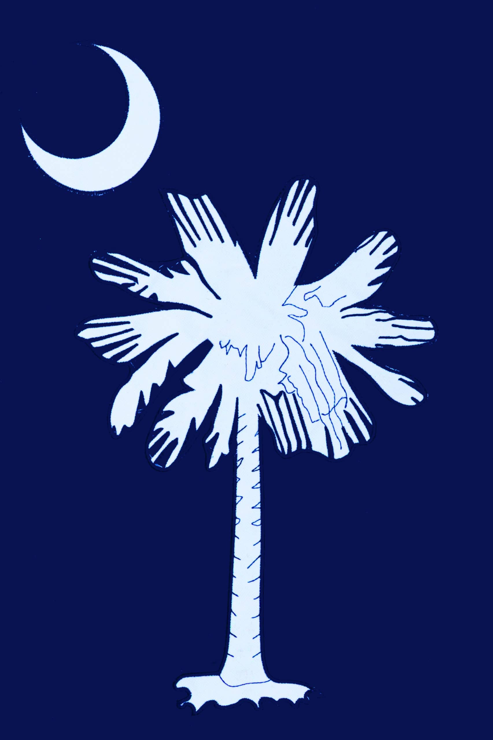 Palmetto Moon-Applique Flag