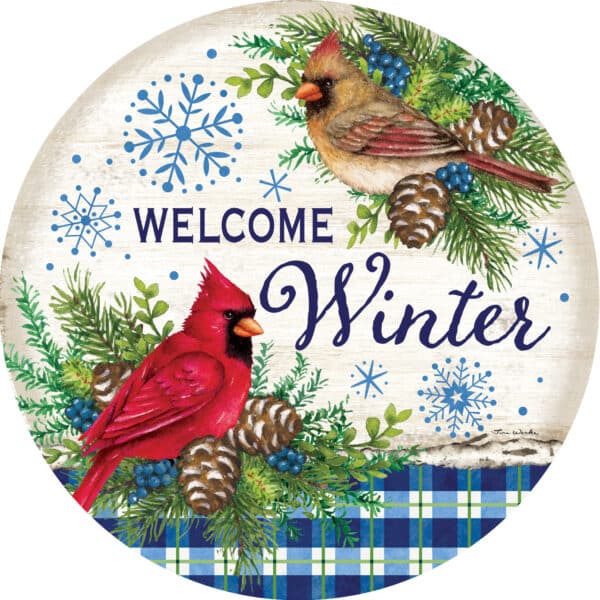 Winter Cardinals-LG Hang Arounds