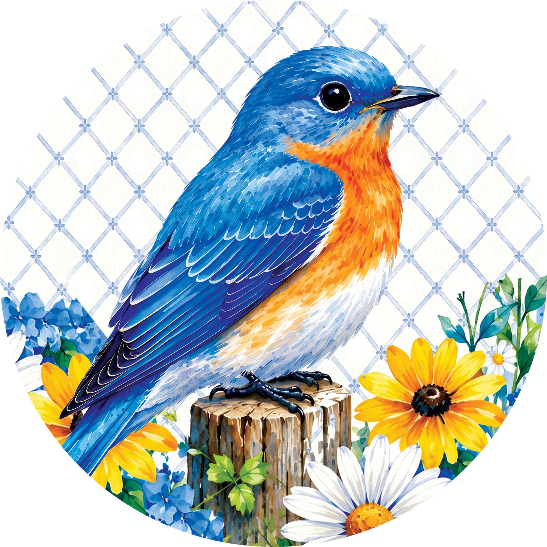 Accent Magnet-Bluebird Daisies